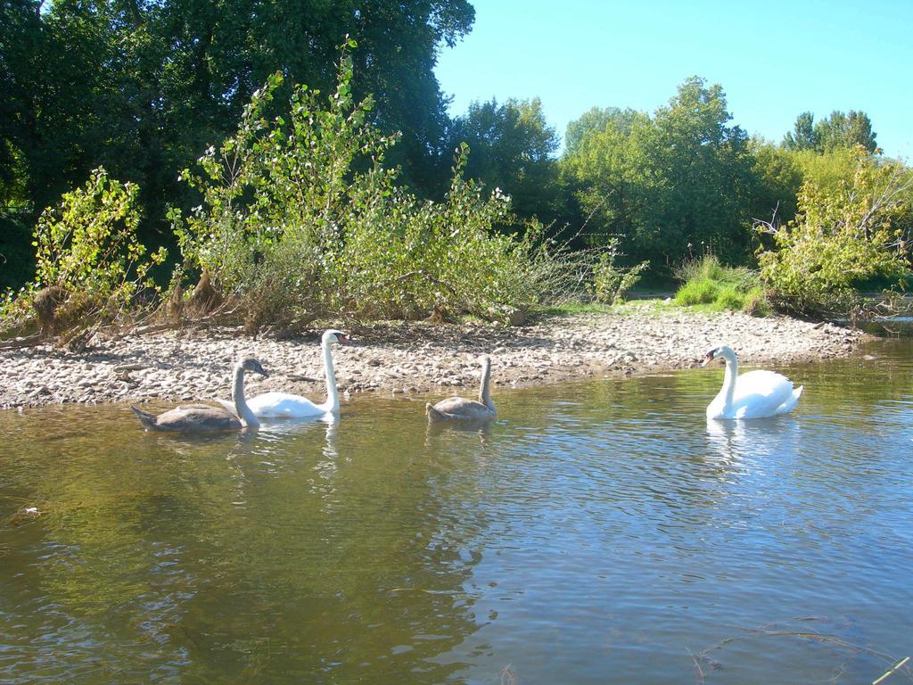 Moulin Des Sandaux Сент-Фуа-ла-Гранд Экстерьер фото